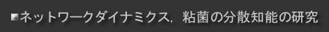 $B%M%C%H%o!<%/%@%$%J%_%/%9(B, $BG46]$NJ,;6CNG=$N8&5f(B